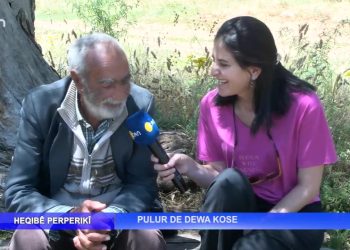 Pulur De Dewa Kose -Nuray Atmaca’nın hazırlayıp sunduğu Heqibe Perperıkî Can Tv’de