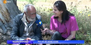 Pulur De Dewa Kose -Nuray Atmaca’nın hazırlayıp sunduğu Heqibe Perperıkî Can Tv’de