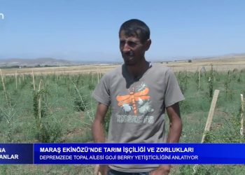Maraş Ekinözü’nde Tarım İşçiliği Ve Çöp Sorunu-Depremzede Topal Ailesi Goji Berry Yetiştiricişiğini Anlatıyor