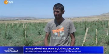 Maraş Ekinözü’nde Tarım İşçiliği Ve Çöp Sorunu-Depremzede Topal Ailesi Goji Berry Yetiştiricişiğini Anlatıyor