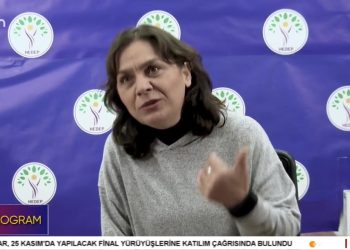 25 Kasım’a Giderken Kadınların Gündemi