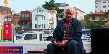 Bir hak mücadelesi: Sokakta yaşayan hayvanlar