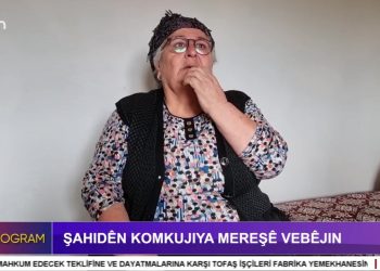 Şahıdên Komkujıya Mereşê Vebêjın