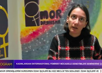Kadınlardan Enternasyonal Feminist Mücadele Deneyimleri Seminerine Çağrı