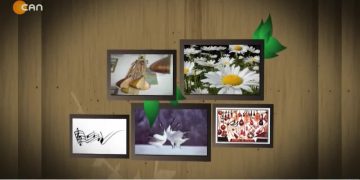 Kamber Yıldız İle Turnalar