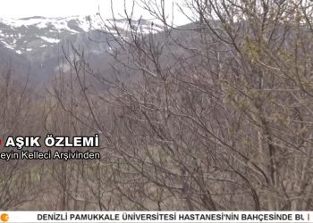 Aşık Özlemi, Hüseyin Kelleci Arşivinden