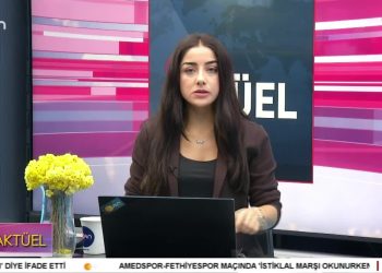 Laik Eğitim, İnsanca Yaşam, Demokratik Türkiye Mitingi.