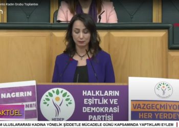 HEDEP Kadın Grup Toplantısı