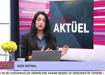 DEM Parti Vanda Seçim Gaspı Protesto Ediliyor