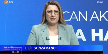 -Depremin üzerinden dört ay geçti. Enkazlardan hala cenaze çıkıyor.
-VELİ-DER: İmzalanan protokollerle okullara imam atanıyor.
-AİHM Demirtaş ve Yüksekdağ davasında ihlal kararı verdi.
Elif Sonzamancı ile Can Aktüel Ana Haber’de