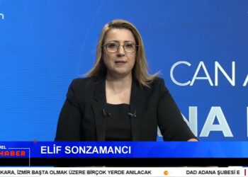 – Seyit Rıza ve Yol Arkadaşları Bir Çok Kentte Anılıyor
– HEDEP ve CHP Grup Toplantıları Gerçekleşti
– Yargı Krizi Tartışmları Sürüyor
– Elif Sonzamancı ile Can Aktüel Ana Haber