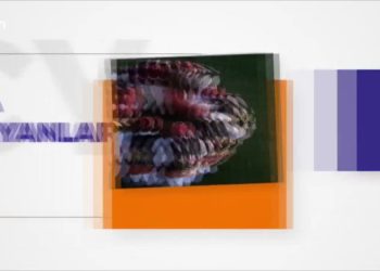 MARDEF 4. Buluşma Kampı – Kadınlar Ve Gençler Sorunlarını Ve Taleplerini Aktardı