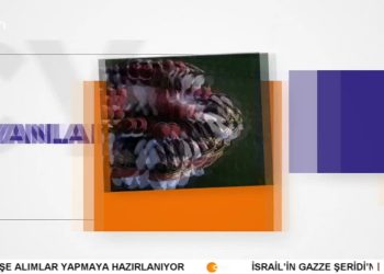 Halk Seminerleri – PSAKD Kadıköy Şubesi.