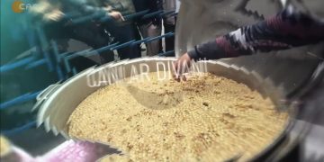 İbrahim Karakaya’nın hazırlayıp sunduğu Canlar Divanı programının konukları Veli-Der Genel Başkanı Ömer Yılmaz ve Veli-Der İzmir 2 nolu Şube Başkanu Turgut Aydın. 
– Çedes, laiklik ve eğitim sistemi
– Toplumsal yeniden inşada eğitimin önemi