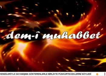 Alevilikte Pir – Talip İlişkisi, Pir Haşim Kızılveren ile Dem-i Muhabbet.