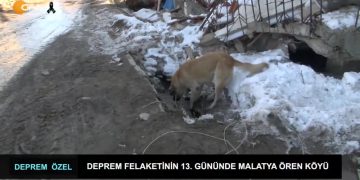 Deprem Felaketinin 13. Gününde Malatya Ören Köyü