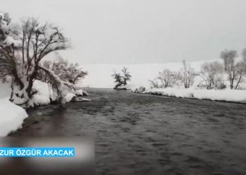 Munzur Özgür Akacak