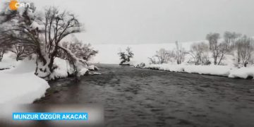 Munzur Özgür Akacak