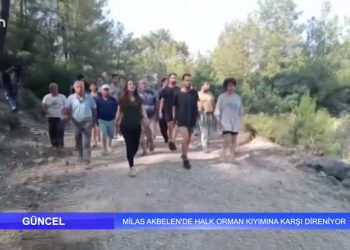Milas Akbelen’de Halk Orman Kıyımına Karşı Direniyor
