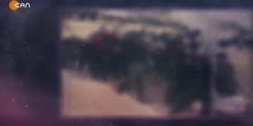 Savaş Ve Halk Sağlığı – Kazım Gündoğan’ın Sunduğu Hafıza Defteri Programının Konuğu Prof.Dr.Feride Aksu Tanık