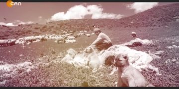 Heqıbê Perperıki – Mazgêrt De Dewa Sîndame