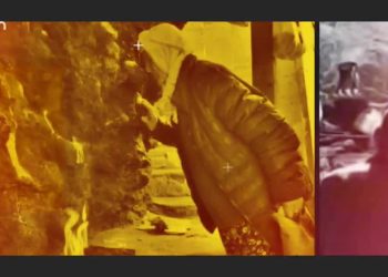 Dewa Kırdımî De Mezraya Gomeyê Muxtarî