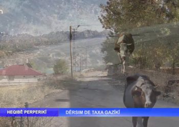 Heqıbê Perperıkî – Dêrsim De Taxa Gazîkî