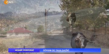 Heqıbê Perperıkî – Dêrsim De Taxa Gazîkî