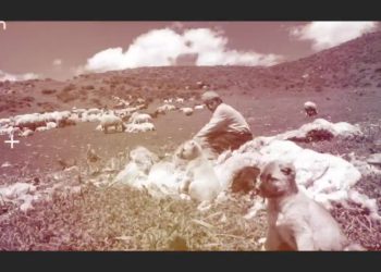 Heqıbê Perperıkî – Dewa Şînî De Wareyê Kanserîkî