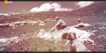 Heqıbê Perperıkî – Dewa Şînî De Wareyê Kanserîkî