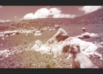 Pulur De Jara Yel Babaî, Nuray Atmaca ile Heqıbe Perperıki.