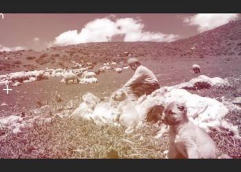 -Xozat De Dewa Peyîğe
Nuray Atmaca ile Heqibe Perperiki Can Tv’de