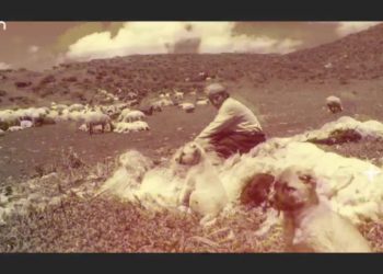 -Bı Hunermend Erdoğan Emîrî Bername
Nuray Atmaca’nın hazırlayıp sunduğu Heqibe Perperiki programının bu haftaki konuğu: 
Sanatçı -Erdoğan Emir