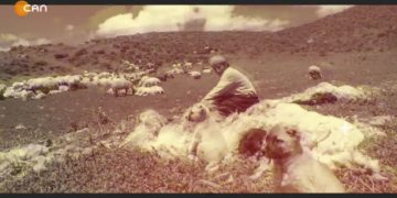 -Bı Hunermend Erdoğan Emîrî Bername
Nuray Atmaca’nın hazırlayıp sunduğu Heqibe Perperiki programının bu haftaki konuğu: 
Sanatçı -Erdoğan Emir