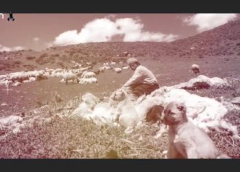 Dersim’de Halkın Deprem Felaketi ile İlgili Tepkileri..