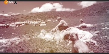 Dersim’de Halkın Deprem Felaketi ile İlgili Tepkileri..