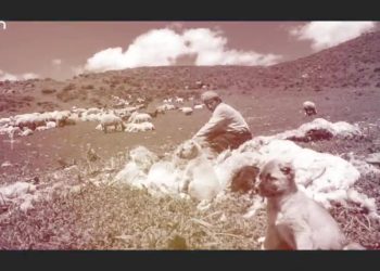 Dewa Kîlîse De Weçînayîs.
Nuray Atmacanın sunumuyla Heqibe Perperiki Can Tv’de