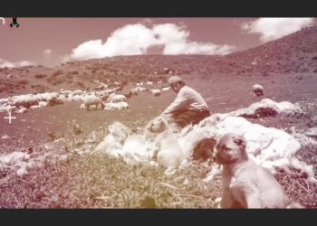 Ma Netîceyê Zelzeleyî Pers Kerdî, Nuray Atmaca ile Heqıbe Perperıki.