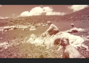 Xarpêt De Taxa Yıldız Mala, Nuray Atmaca ile Heqıbe Perperıki.