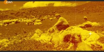 – XOZAT DE WEÇîNAYîS
– Nuray Atmaca’nın Sunumu ile Heqibe Perperiki Can Tv’de