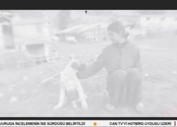 – Suka Dêrsımî De Halê Sarê Ma
– Nuray Atmaca’nın Hazırlayıp Sunduğu Heqibe Perperıkî Can Tv’de