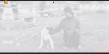 – Suka Dêrsımî De Halê Sarê Ma
– Nuray Atmaca’nın Hazırlayıp Sunduğu Heqibe Perperıkî Can Tv’de