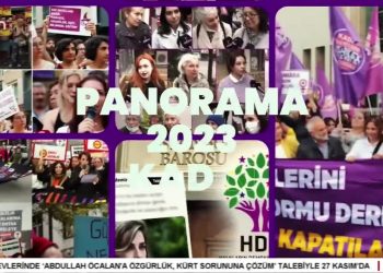 2023 Yılında Kadın Mücadelesi