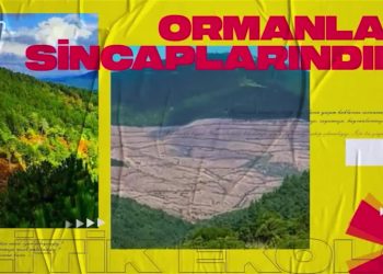 Cemalettin Küçük İle Politik Ekoloji Sizlerle – konuk: Yaşar Albayrak  Ve Murat Kapıkran