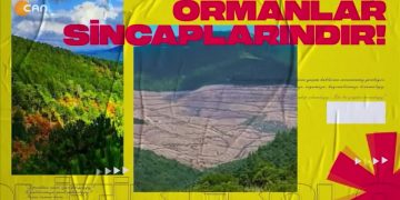 Cemalettin Küçük İle Politik Ekoloji Sizlerle – konuk: Yaşar Albayrak  Ve Murat Kapıkran