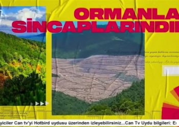 Cemalettin Küçük ile Politik Ekoloji..