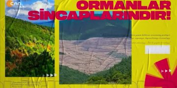 Emperyalizm, Savaş Psikolojisi ve Nükleer. Cemalettin Küçük ile Politik Ekoloji