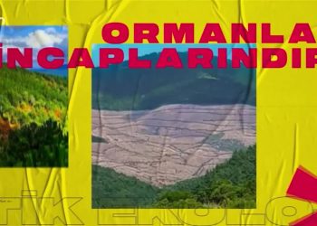 Kapitalist Ekonominin Ekolojik yıkımı, Cemalettin Küçük ile Politik Ekoloji sizlerle..10.01.2022