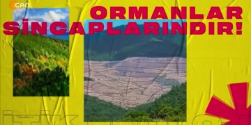 Kapitalist Ekonominin Ekolojik yıkımı, Cemalettin Küçük ile Politik Ekoloji sizlerle..10.01.2022