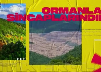 Savaş Kıskacında Yaşam,Cemalettin Küçük ile Politik Ekoloji. Konuk: Saadet Nur Güleç